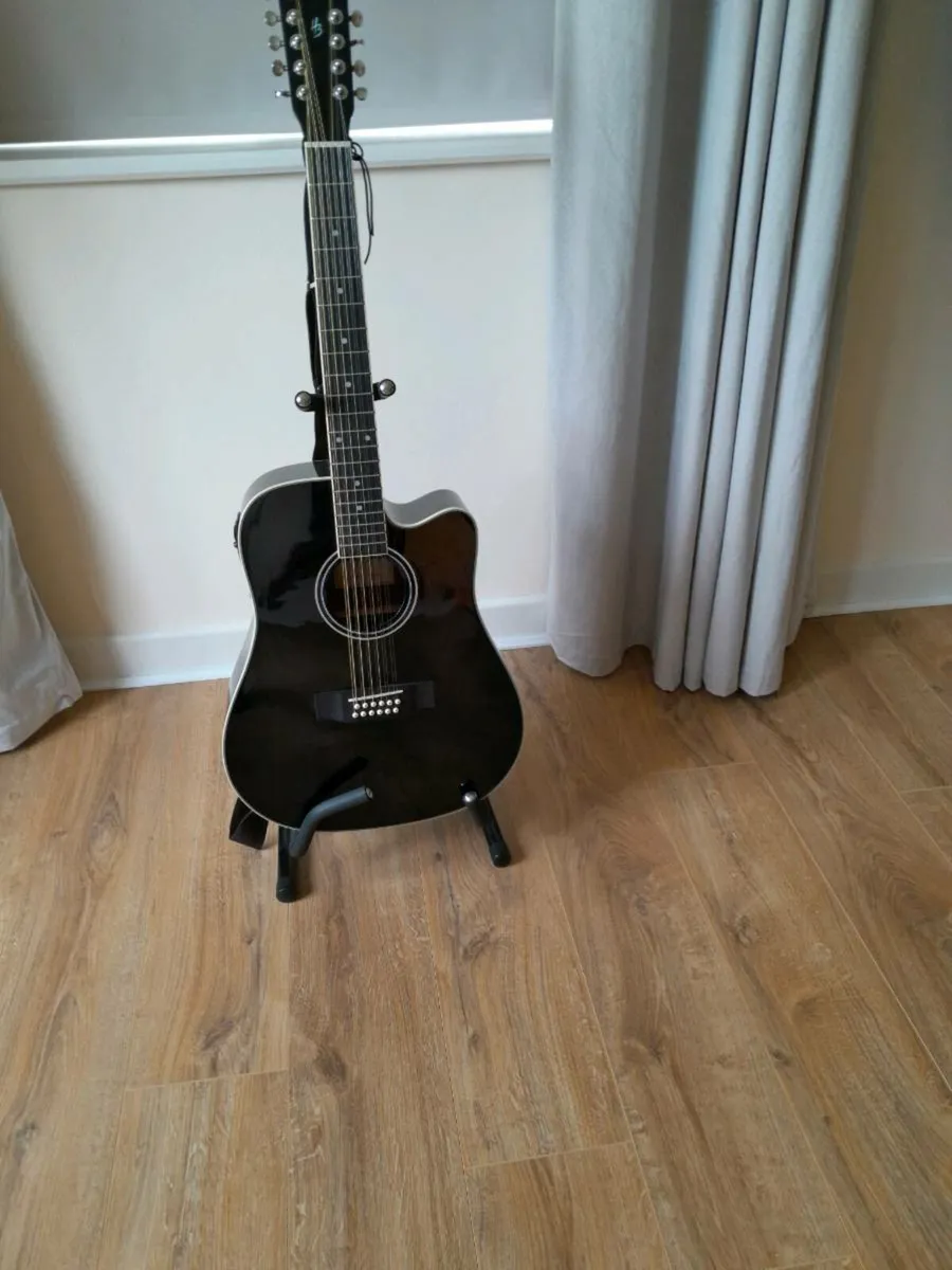 12 String Guitar - Image 1