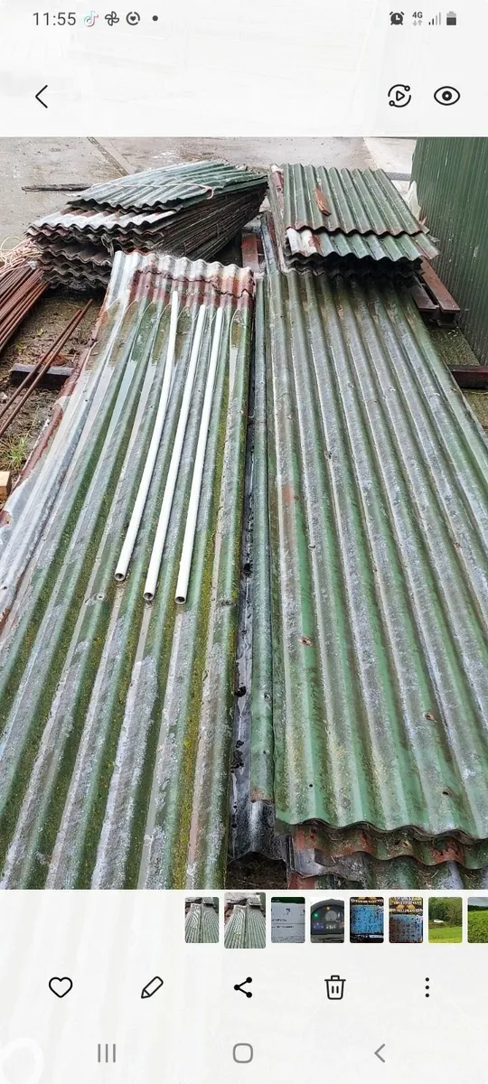 Shed - Image 3