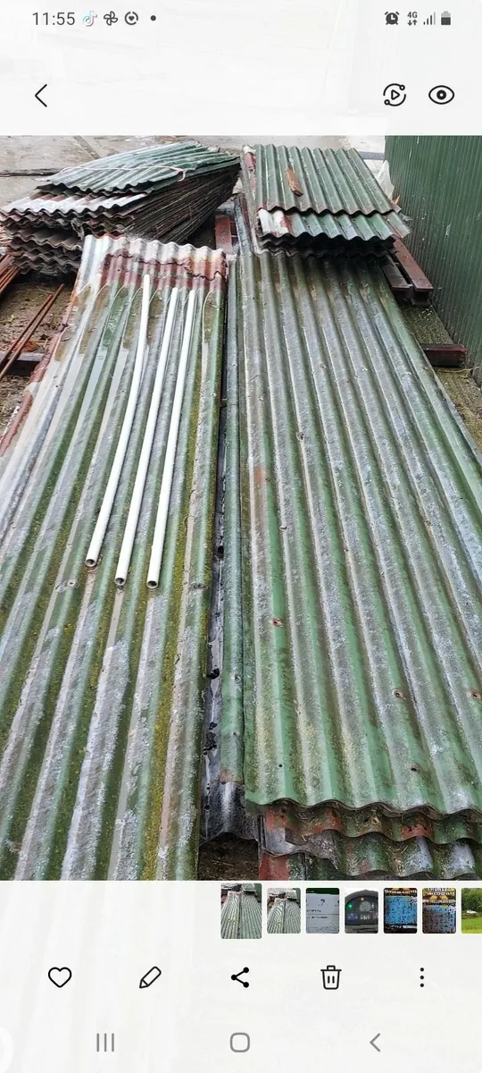 Shed - Image 4