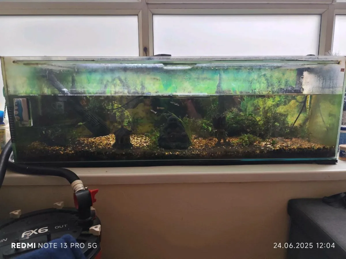 Aquarium - Image 1