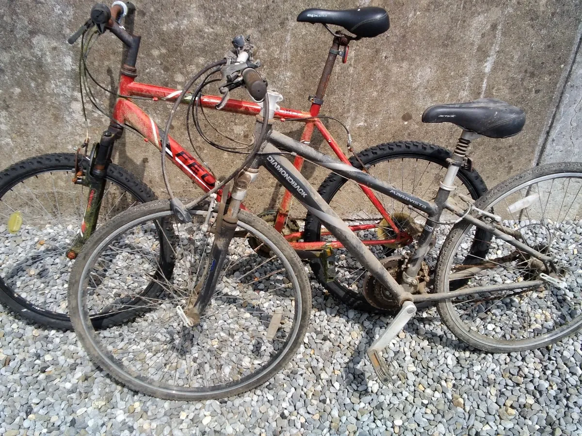 Bicycles - Image 1