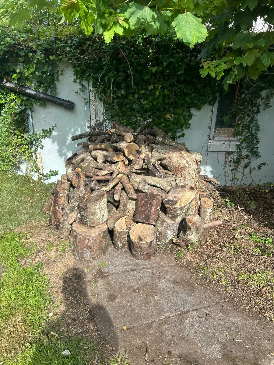 Wood for Sale - Image 1
