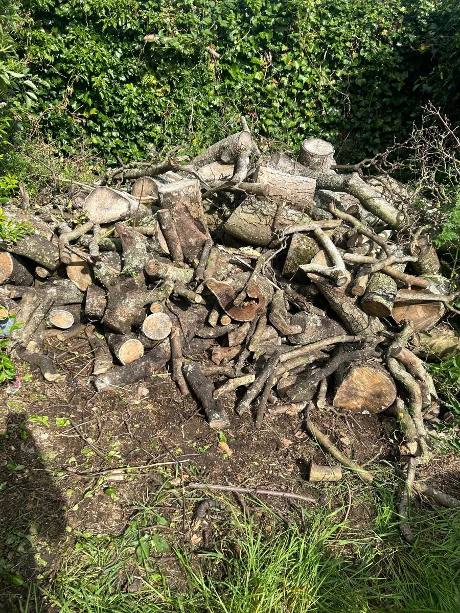 Wood for Sale - Image 2