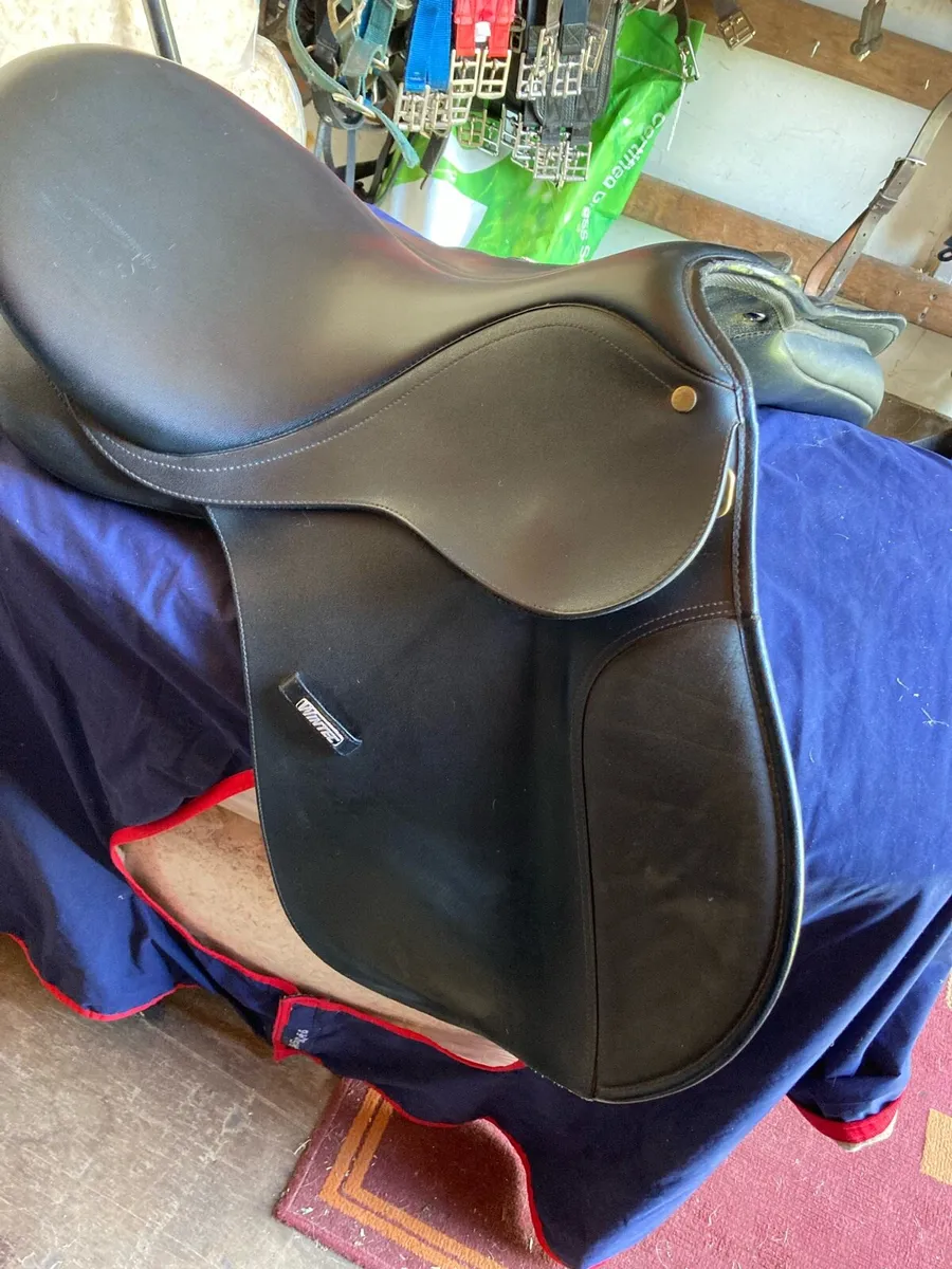 Wintec saddles - Image 4
