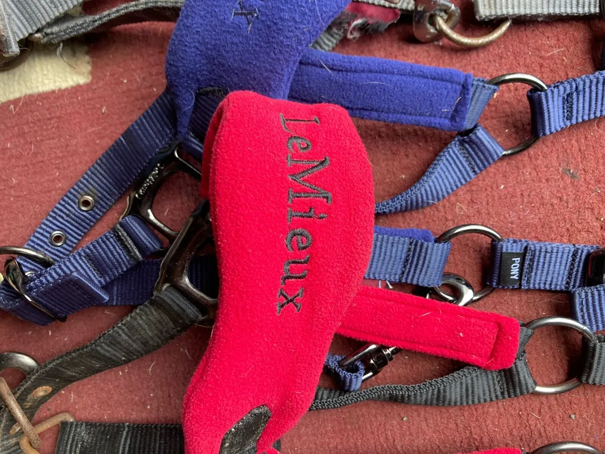 Le mieux head collars - Image 2
