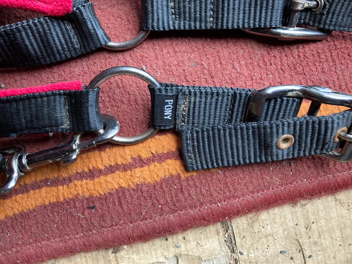 Le mieux head collars - Image 3