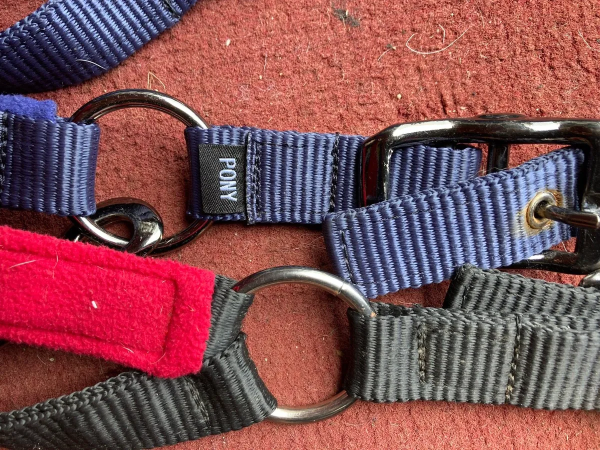Le mieux head collars - Image 4