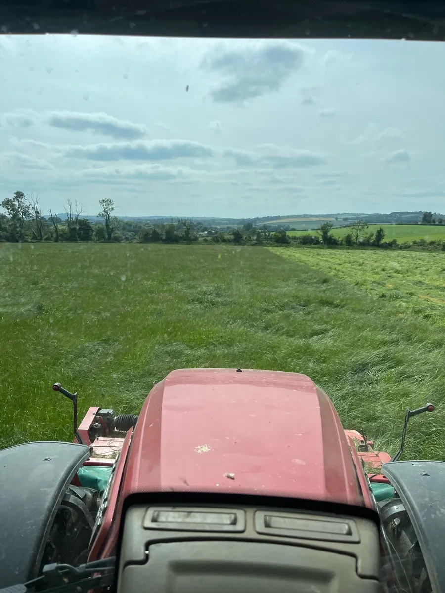 Green Hay - Image 2