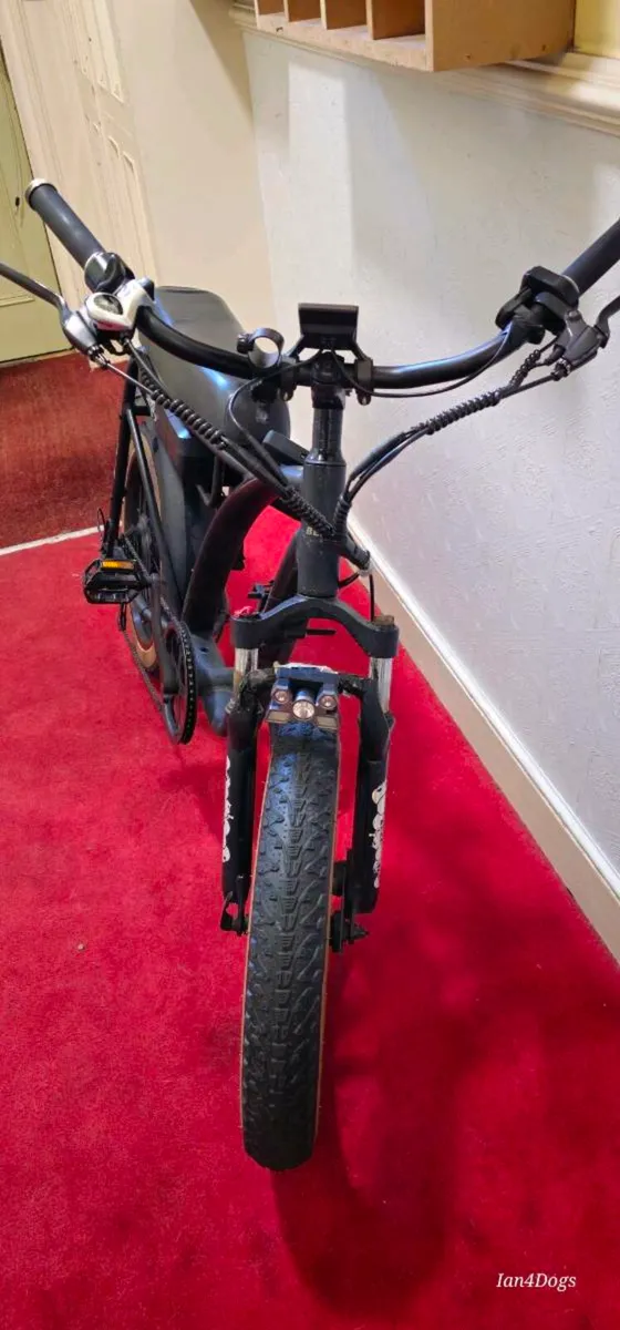 Electric Bike - Image 1