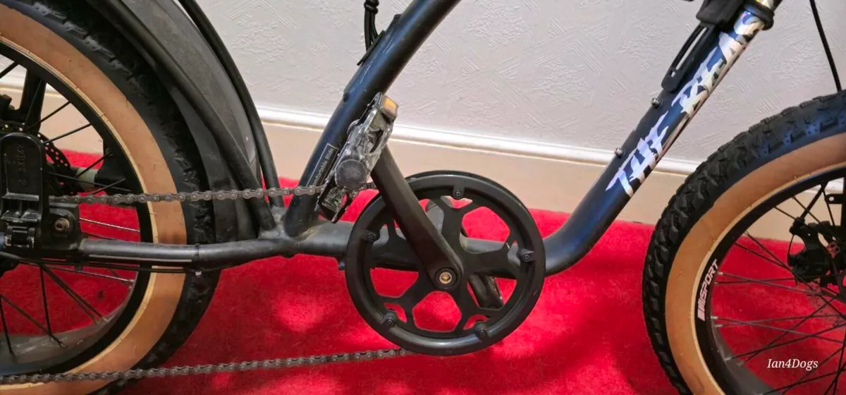 Electric Bike - Image 2