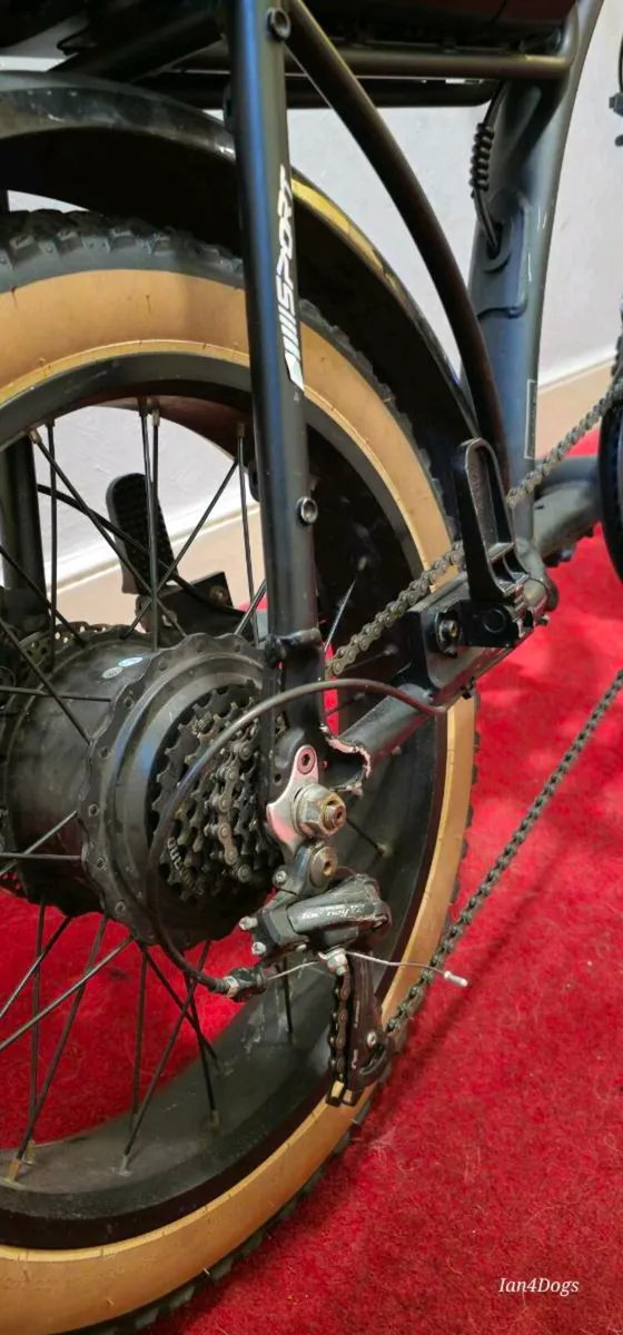 Electric Bike - Image 3