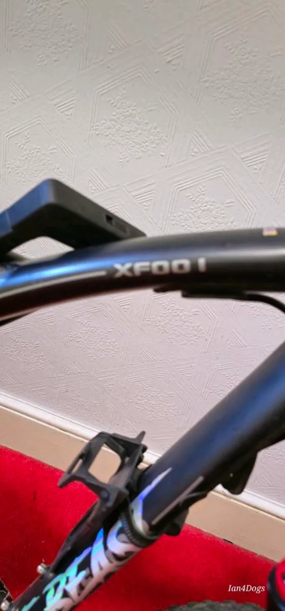 Electric Bike - Image 4