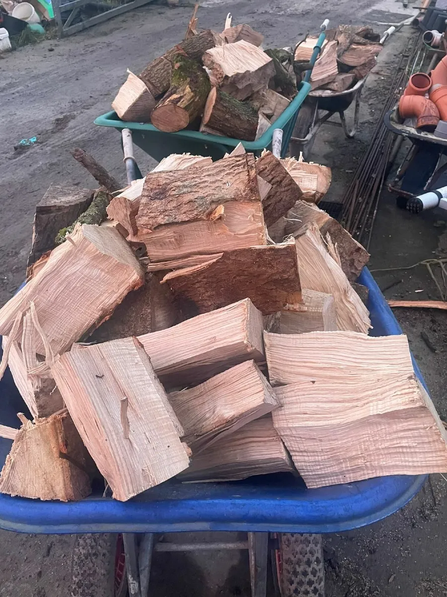 Firewood - Image 1