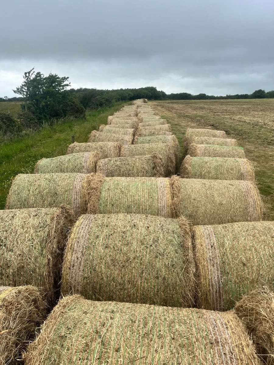 Round bales of Hay - Image 3
