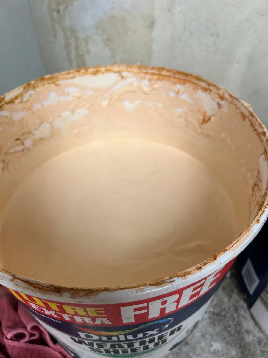 Paint - Image 2