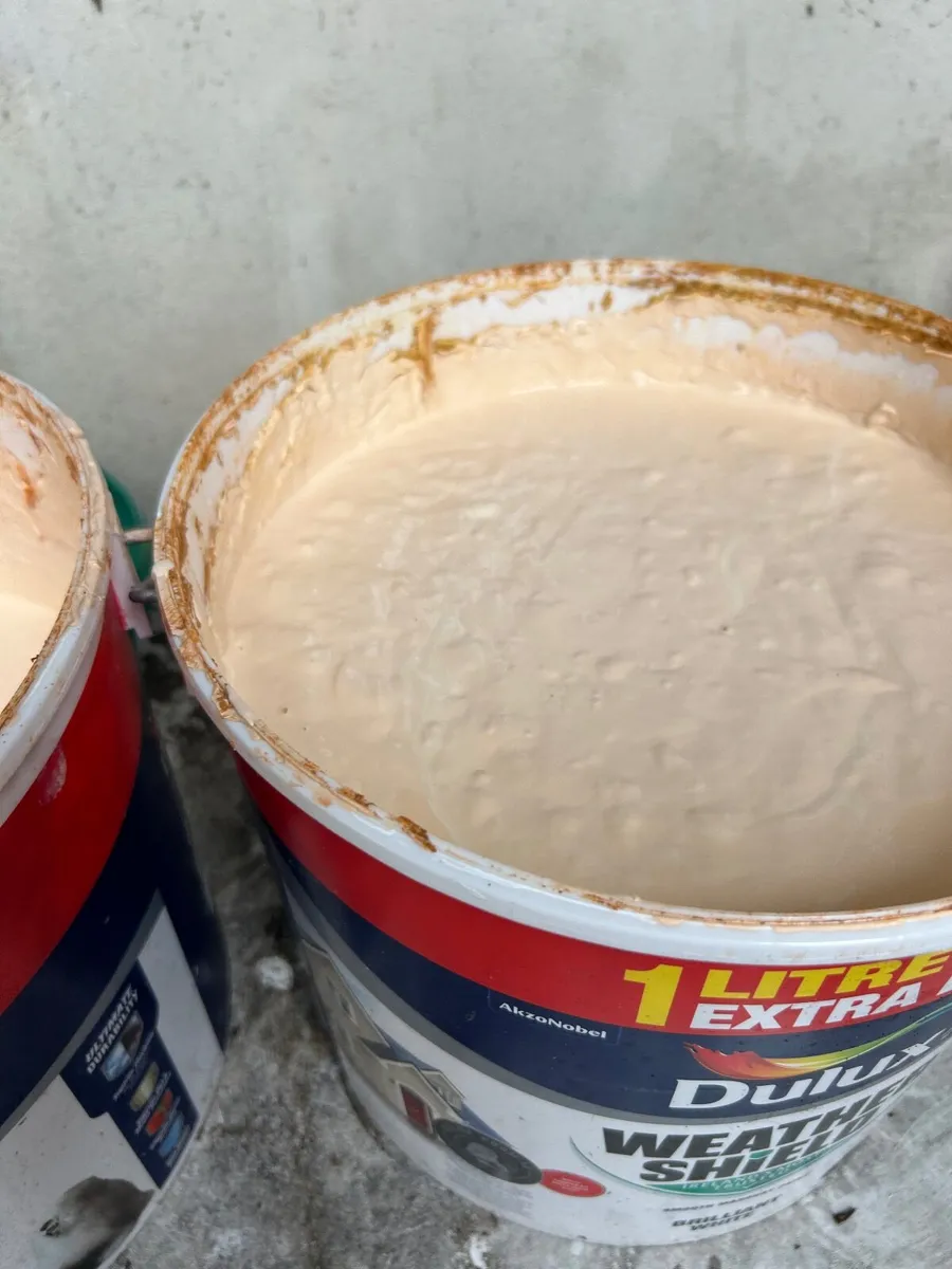 Paint - Image 3