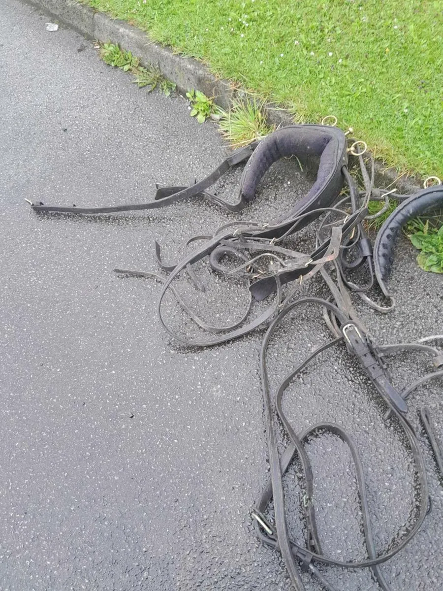 Vintage horse harness - Image 4