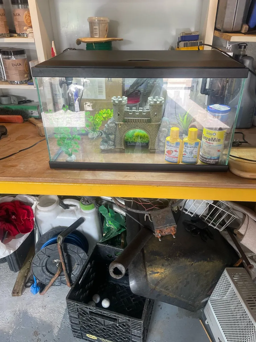 Full starter fish tank