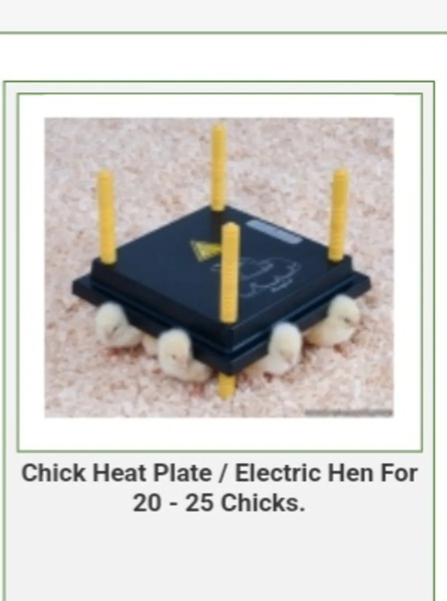 Welsummer hen and 2 chicks Heat plate - Image 2