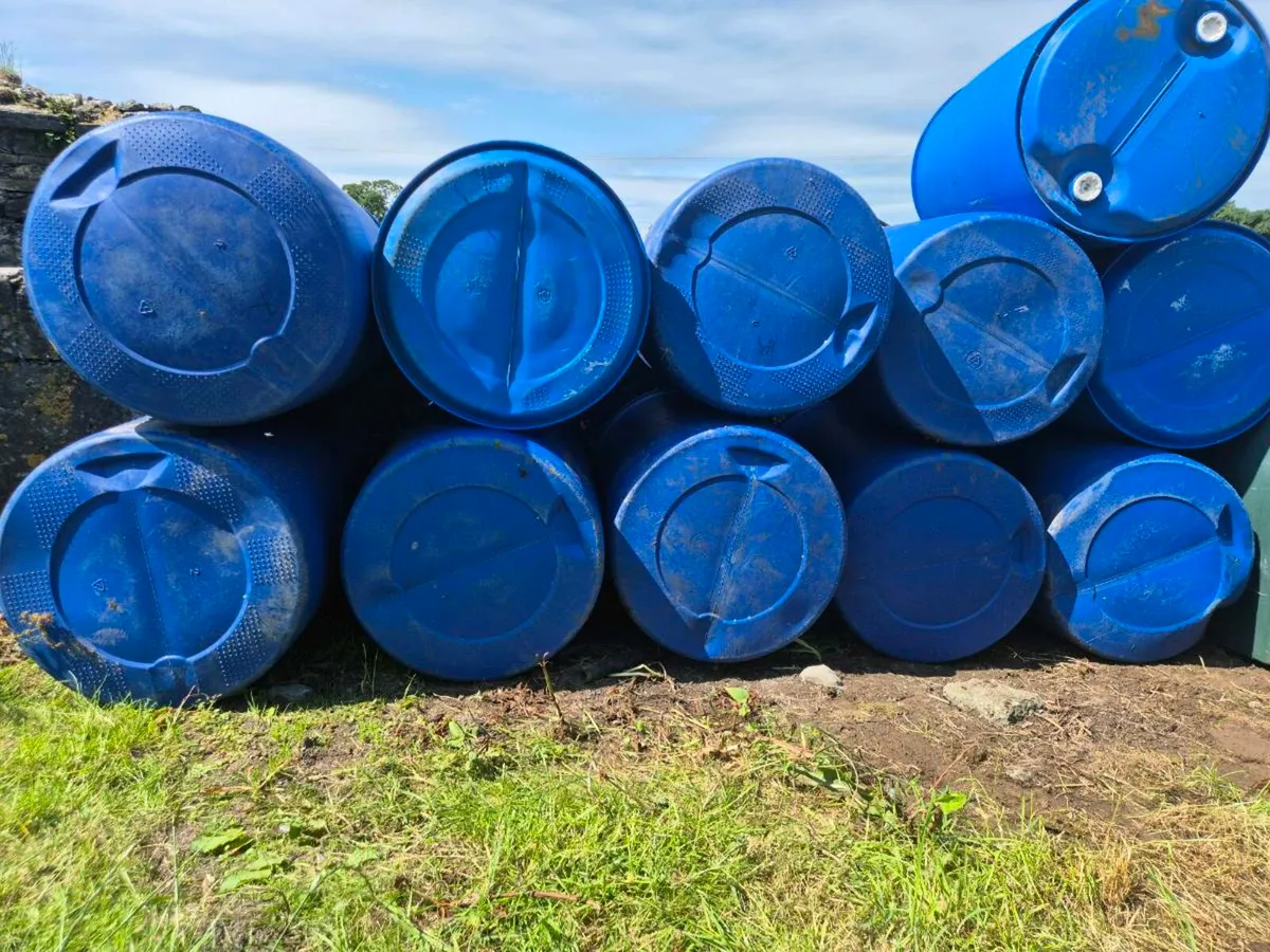 Blue Barrels - Image 1