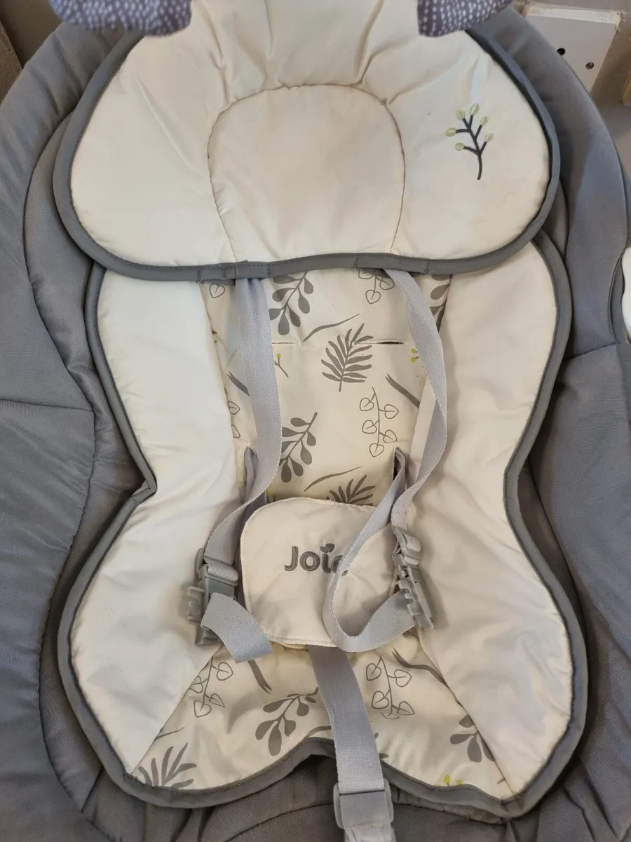 Joie Sansa 2-in-1 Baby Swing and Rocker Fern - Image 2