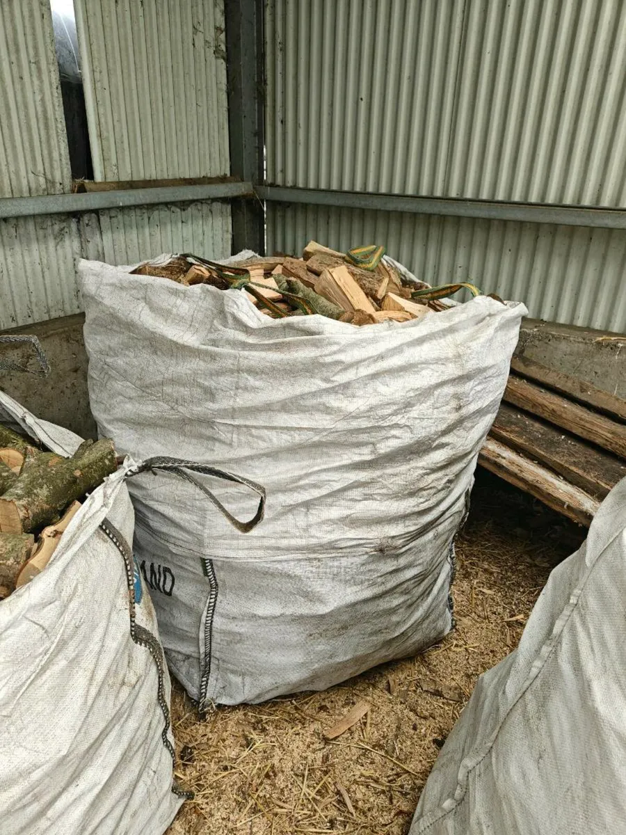 Fire wood - Image 2