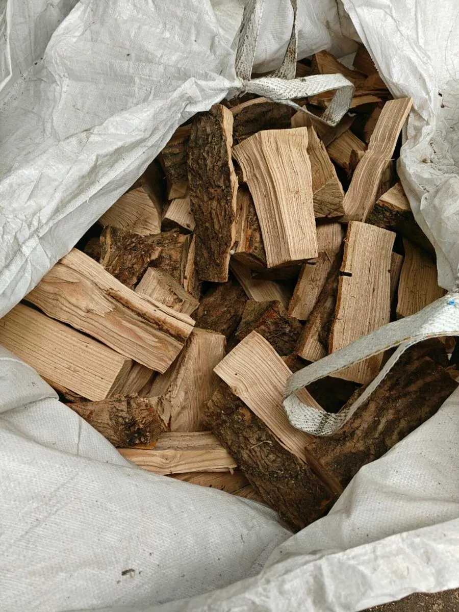 Fire wood - Image 3
