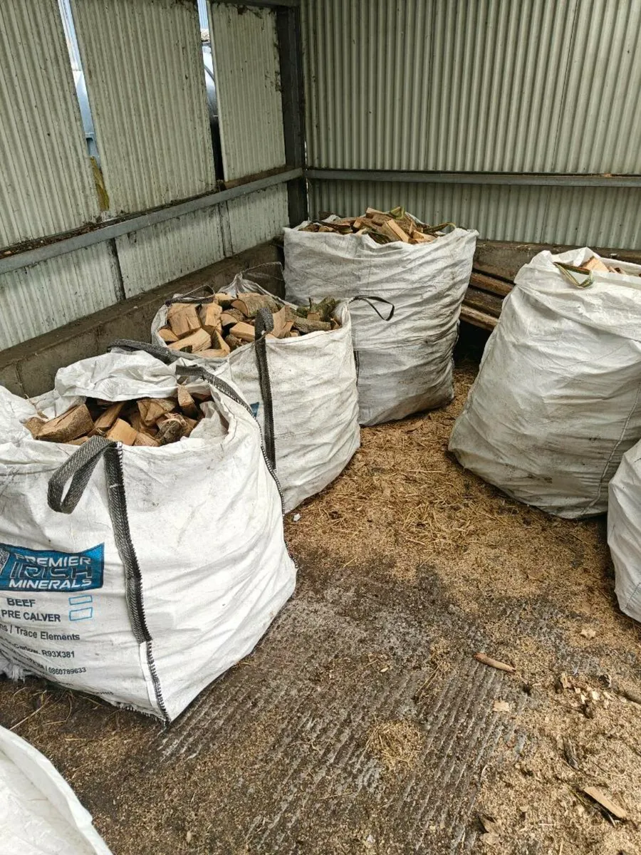Fire wood - Image 4