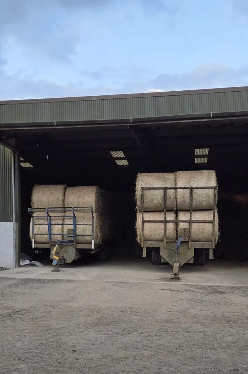 **Quality Horse Hay** - Image 2