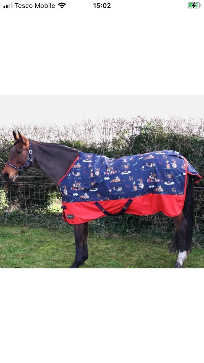 Thelwell turn out rugs - Image 2