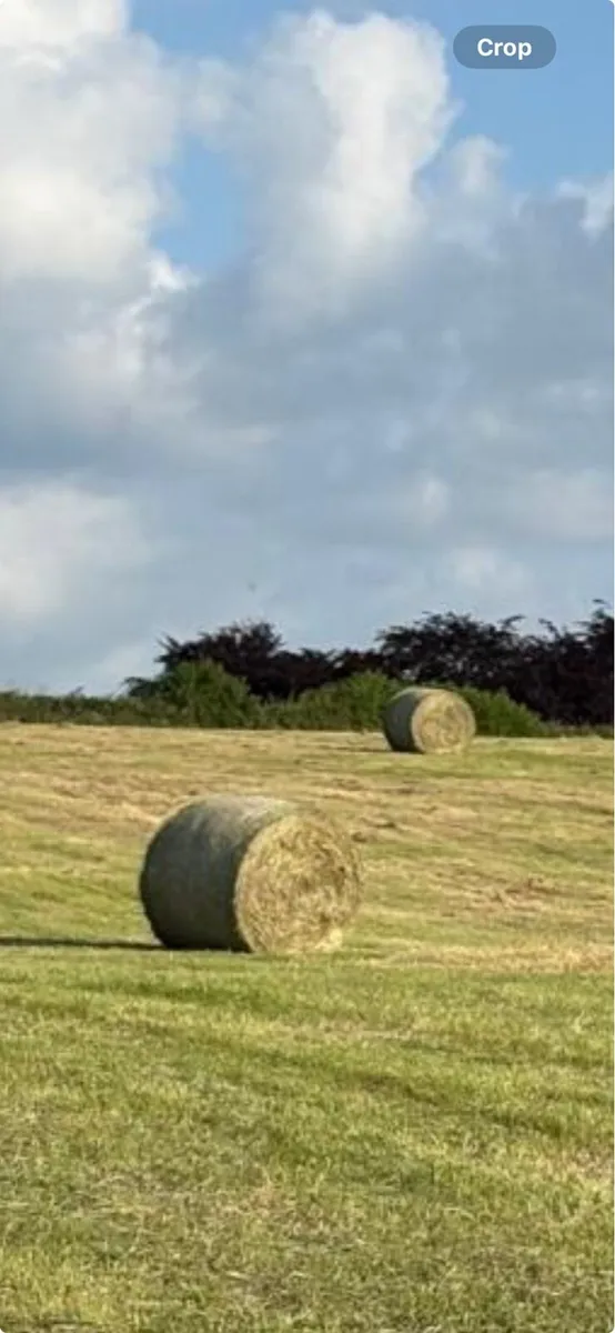 Hay Bales
