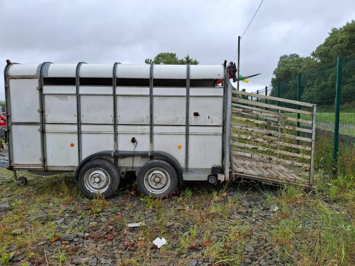Ifor Williams 12x6 Livestock Trailer - Image 4