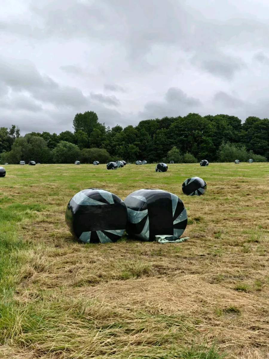 56 Premium Silage Bales - Image 1