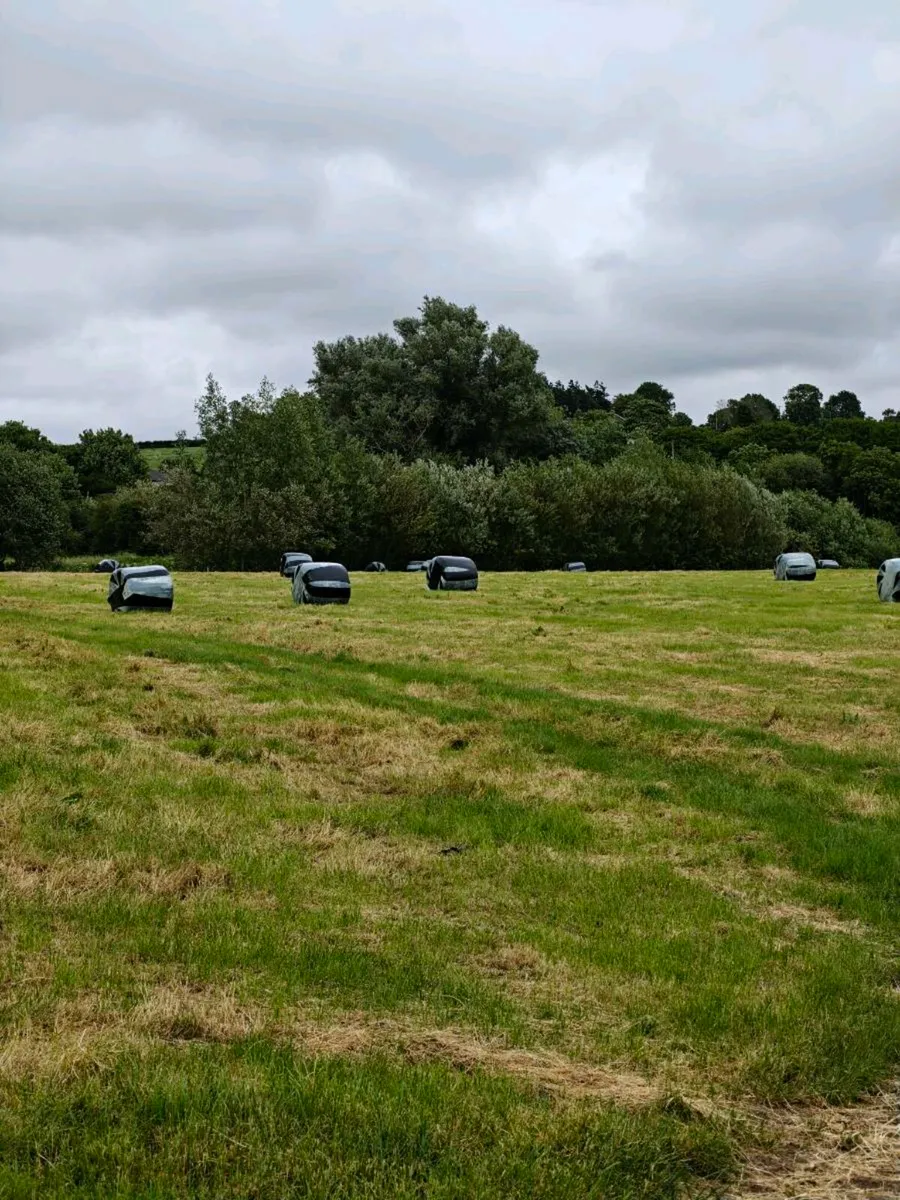56 Premium Silage Bales - Image 2