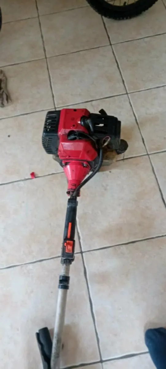 Strimmer - Image 1