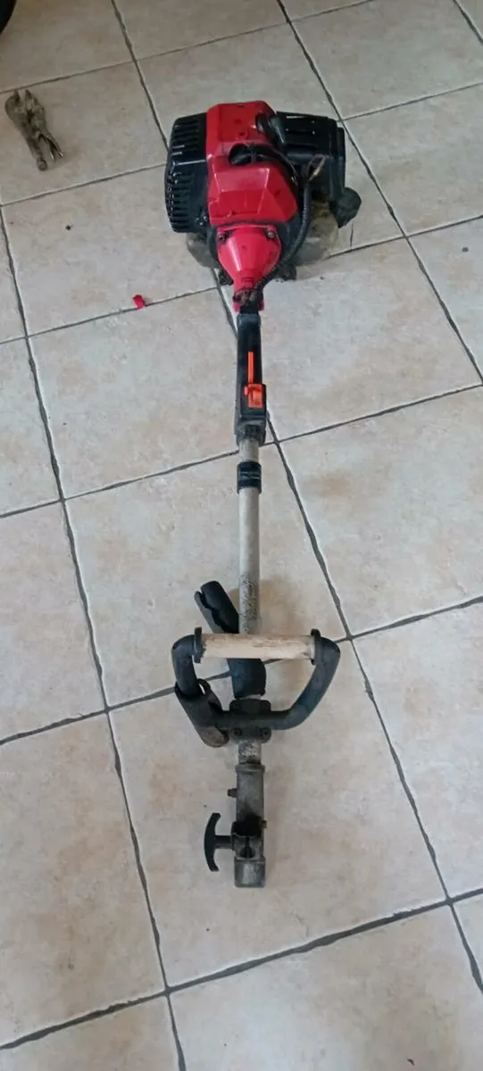 Strimmer - Image 2