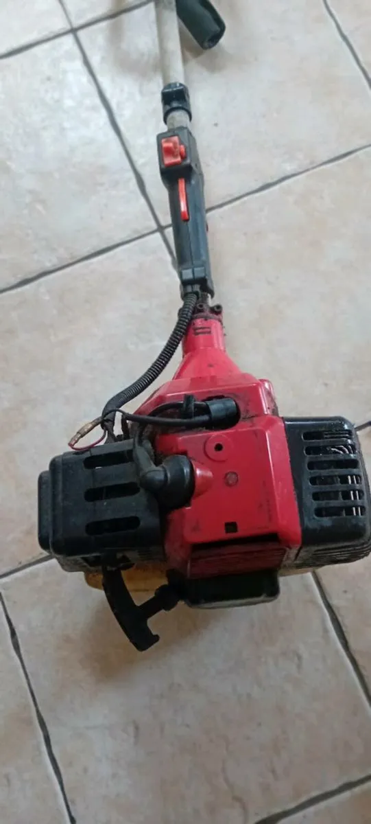 Strimmer - Image 3