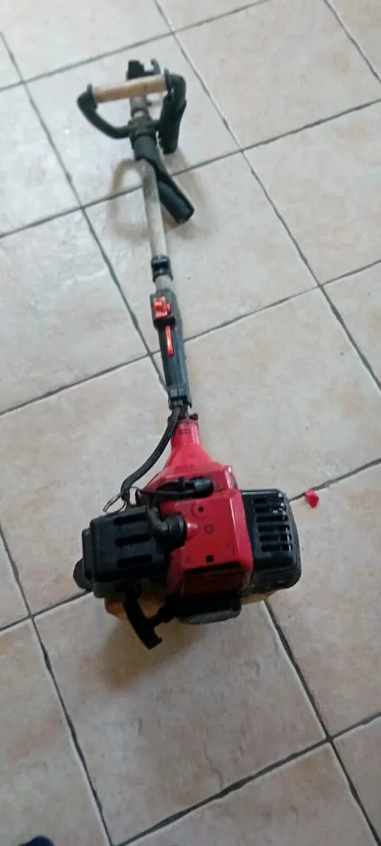 Strimmer - Image 4