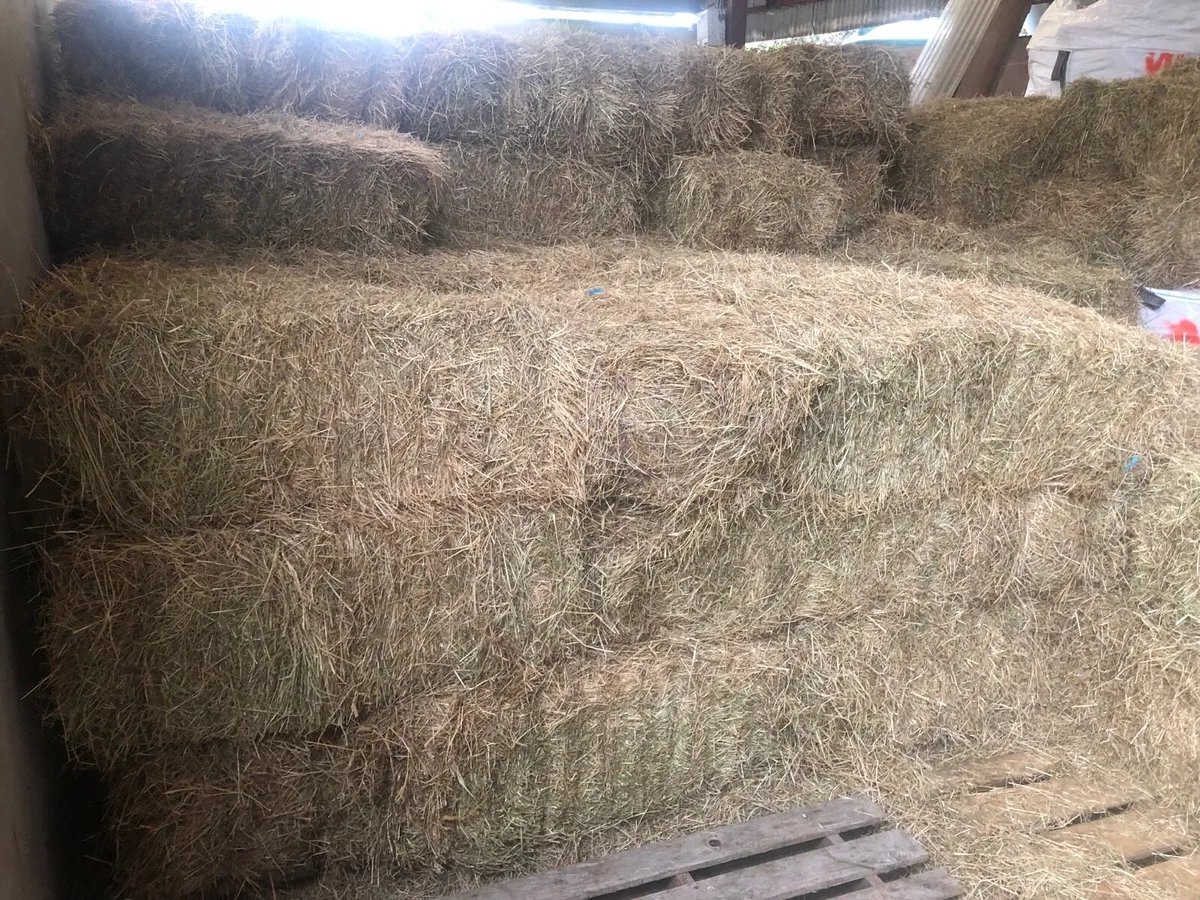 Small square bales of hay - Image 1
