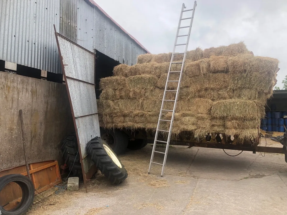 Small square bales of hay - Image 3