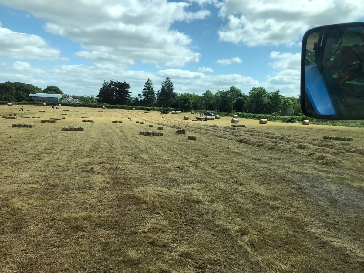 Small square bales of hay - Image 4