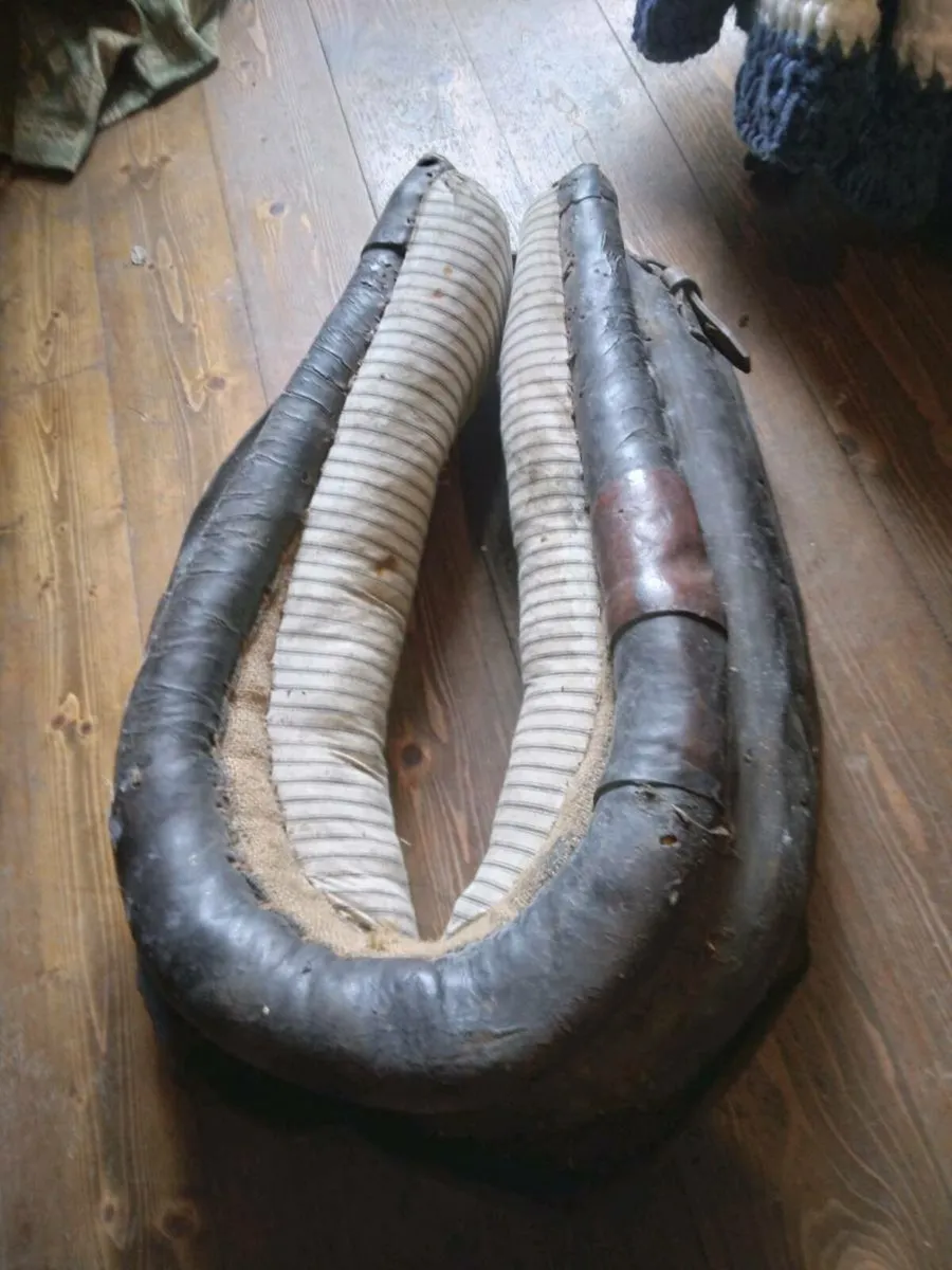 Common cob harness - Image 2