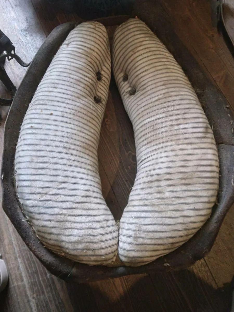 Common cob harness - Image 3