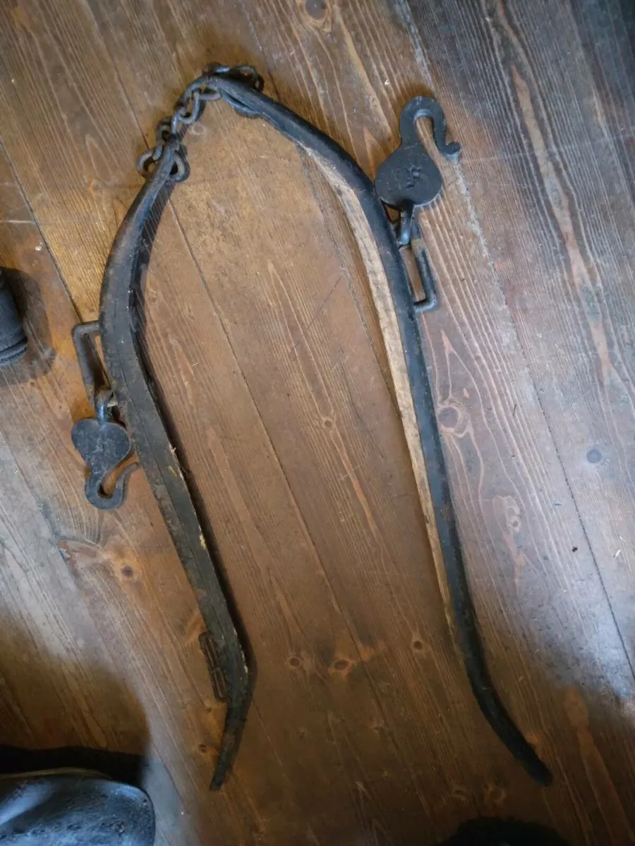 Common cob harness - Image 4