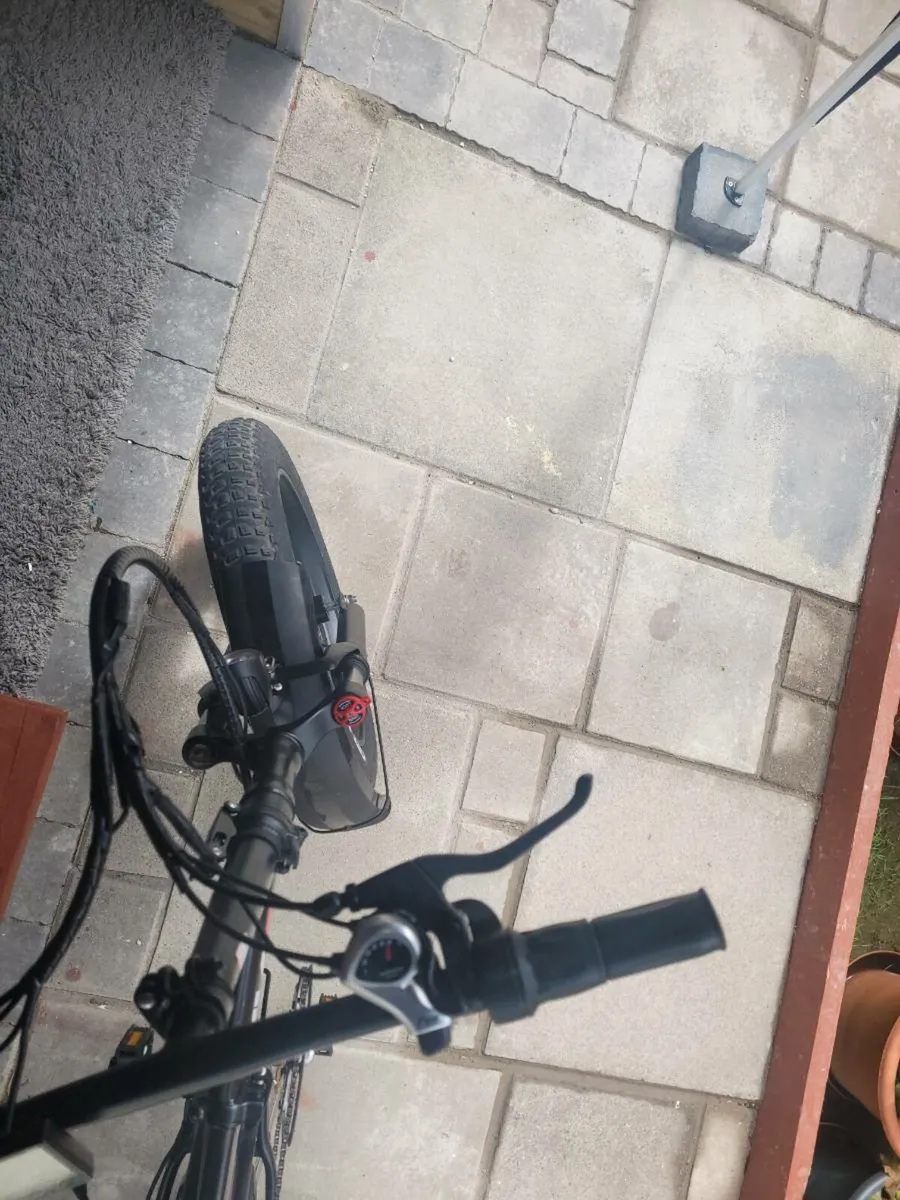 Electric Buicycle - Image 3