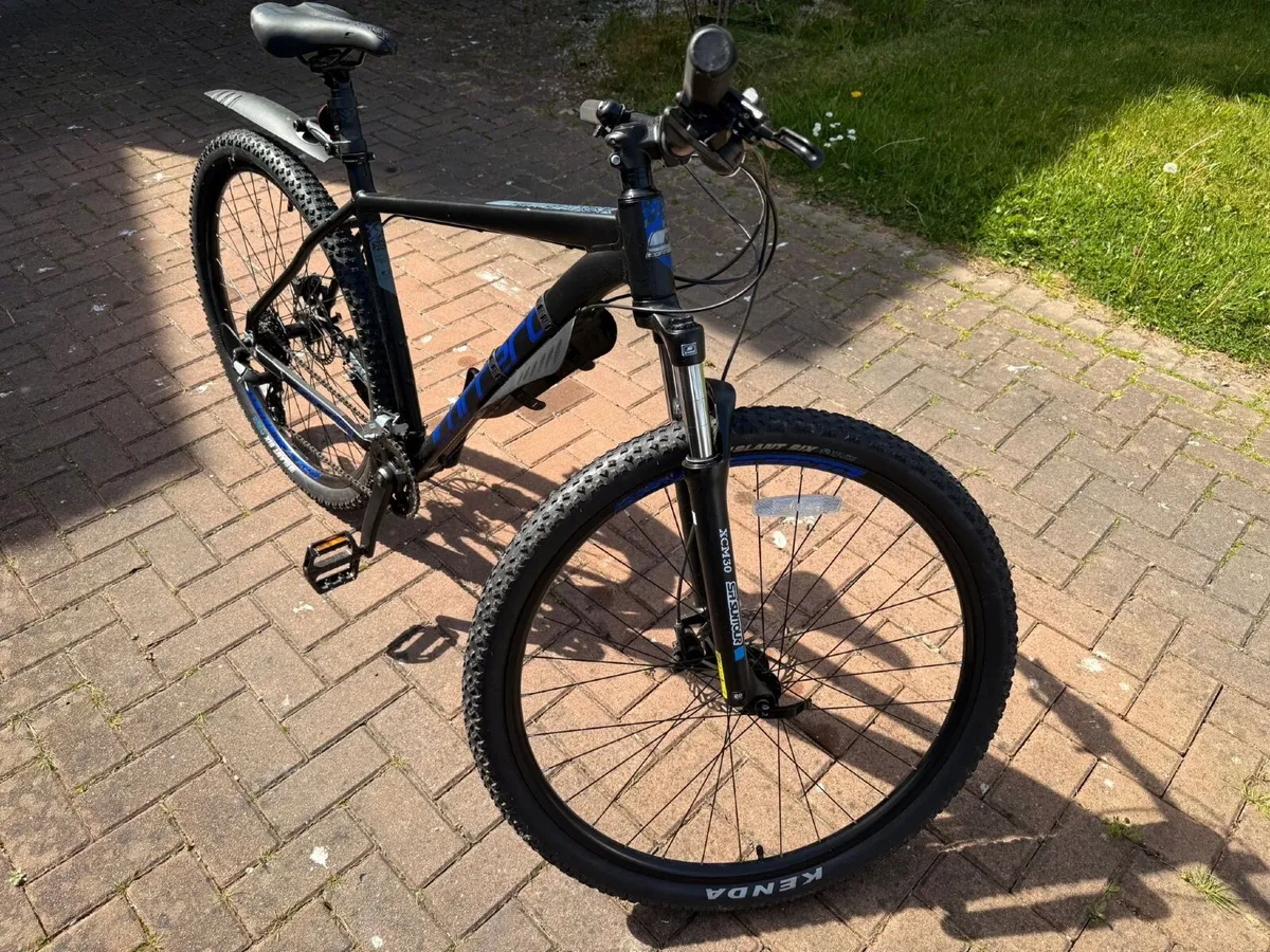Carrera Hellcat mountain bike - Image 2