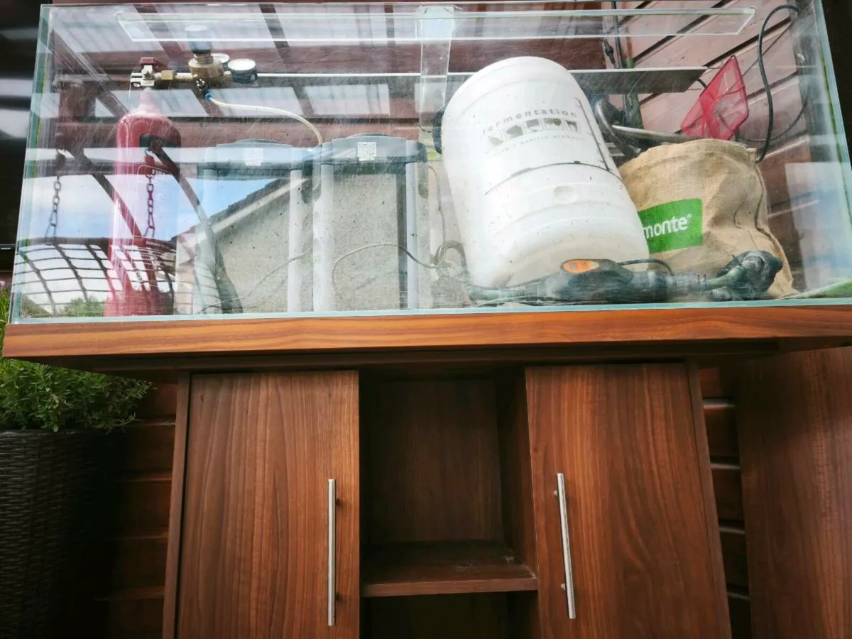 Fish tank - Image 3