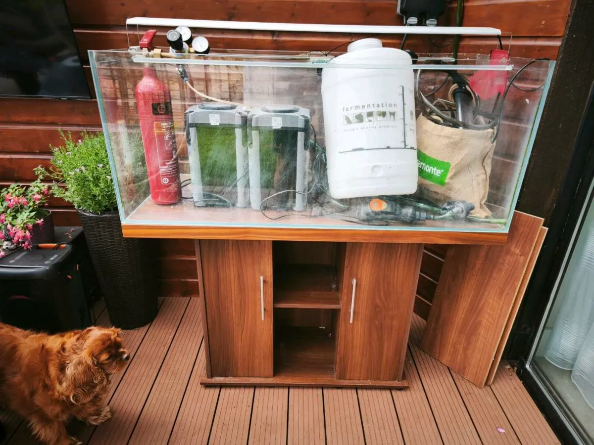 Fish tank - Image 4