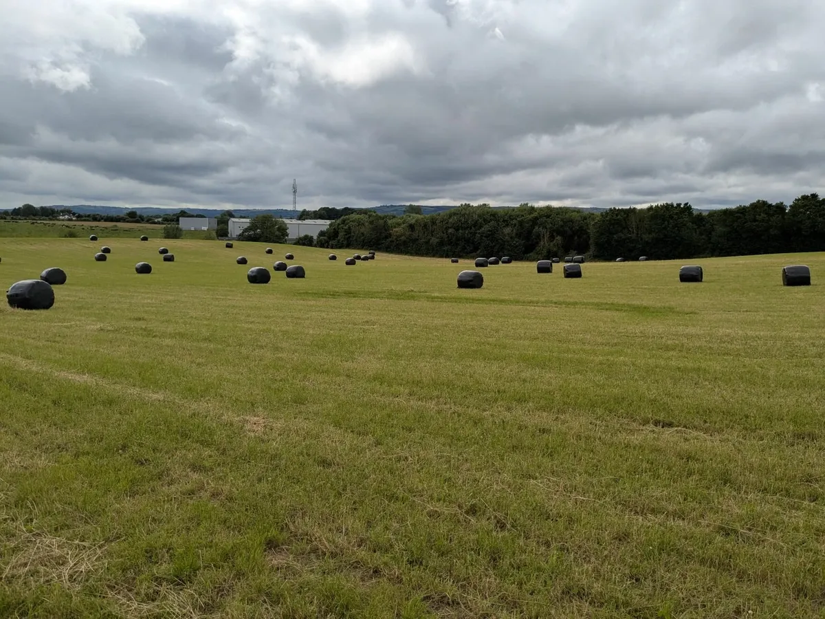 Haylage