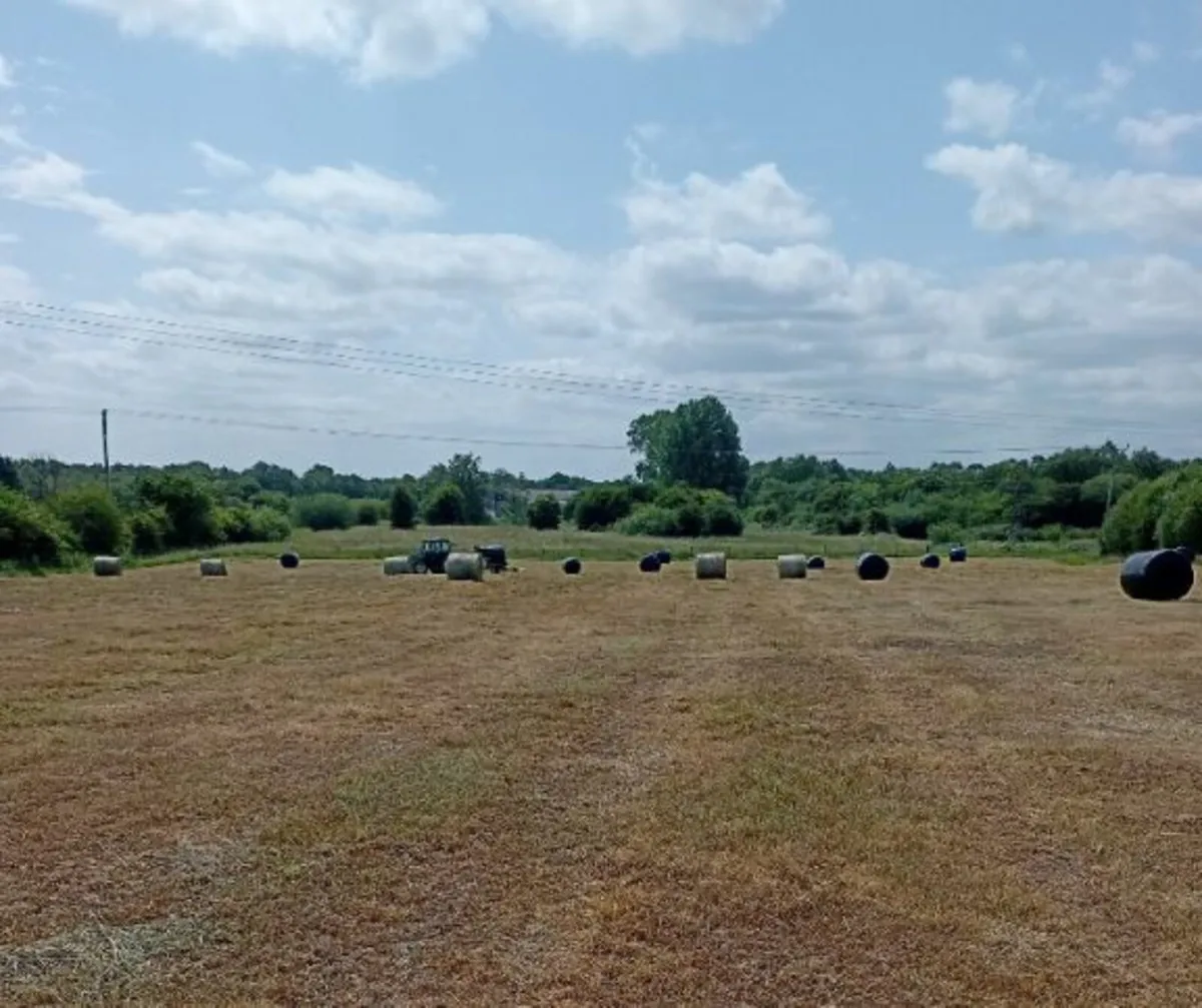 Silage Bales